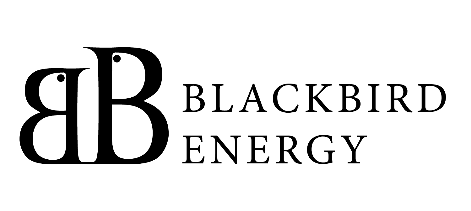 Blackbird Energy Inc. logo