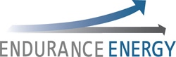 Endurance Energy - Court Supervised Process logo