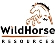 Wild Horse Resources - East Texas / North Louisiana Divestiture logo